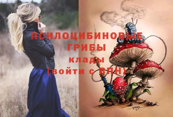 меф Алексин