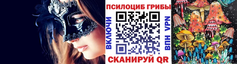 мориарти клад  Чаплыгин  Псилоцибиновые грибы Psilocybe 